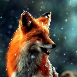 Faith Summers Photo 1