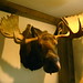 Susan Beaver Photo 16