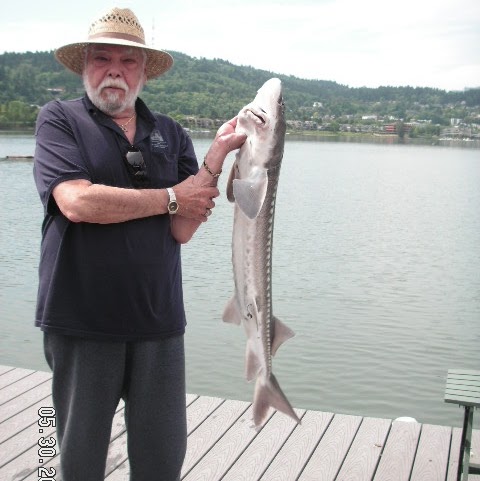 Arthur Weiss Photo 23 Arthur Weiss Photo 23