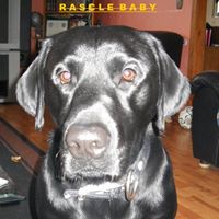 Tina Vargas Photo 35