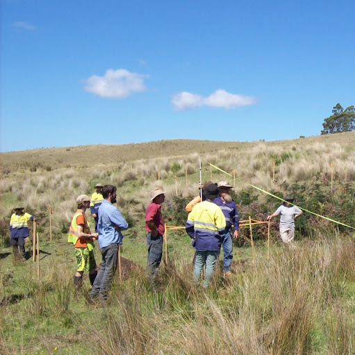 David Spicer Photo 18 David Spicer Photo 18