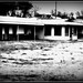 Morris Redden Photo 7