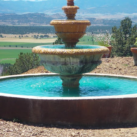 Carol Swisher Photo 6