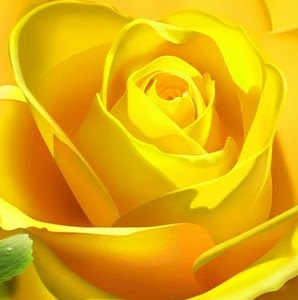 Doris Rojas Photo 15