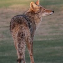 Joseph Heilman Photo 4