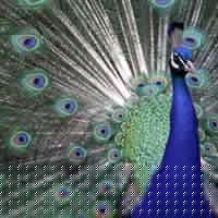 Sara Quintana Photo 20 Sara Quintana Photo 20