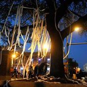 Chris Wiley Photo 35