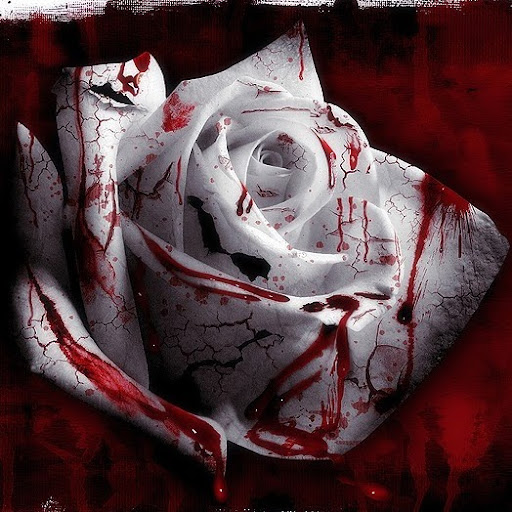 Danielle Pate Photo 23