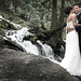 Sherry Nolan Photo 17