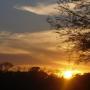 Darlene Bergeron Photo 21