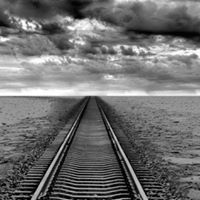 Steven Benjamin Photo 22 Steven Benjamin Photo 22