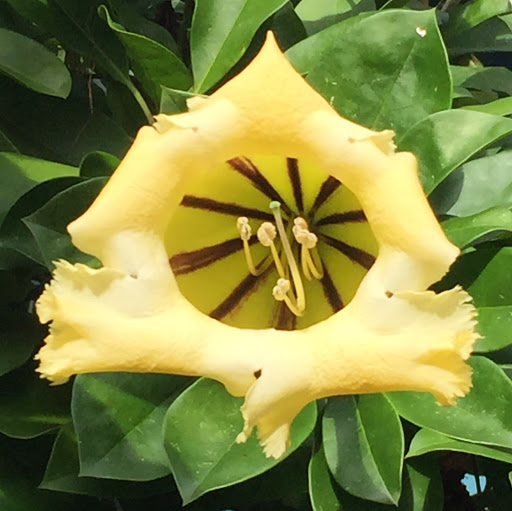 Laura Batchelor Photo 5