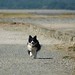 Susan Ridgway Photo 31