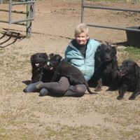 Cheryl Fraser Photo 31