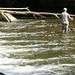 Lawrence Trout Photo 15