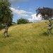 Elizabeth Windsor Photo 27