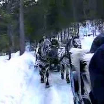 Nancy Clayton Photo 35