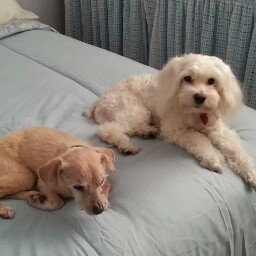 Millie Rodriguez Photo 2