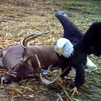 Curtis Mitchell Photo 15