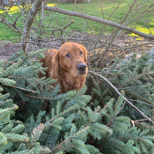 Matthew Roach Photo 25