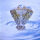 Charles Tate Photo 24