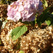 Kathie Winters Photo 12