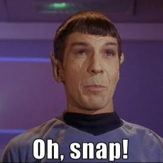 Lisa Sanford Photo 9