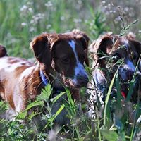 Neal Winters Photo 15