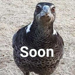 Thomas Webb Photo 51 Thomas Webb Photo 51