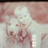 Melissa Erickson Photo 23