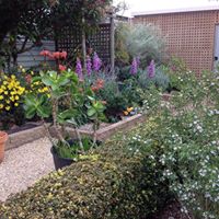 Clifford Wilkinson Photo 8