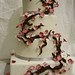 Robyn Cherry Photo 5