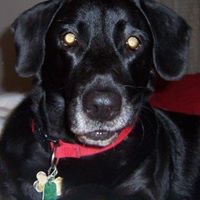 Stacey Gauthier Photo 19