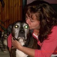 Sherry Hamilton Photo 39