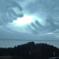 Tina Tidwell Photo 11