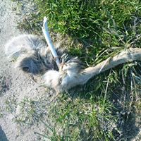 Larry Underwood Photo 12