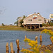 Billy Wells Photo 15