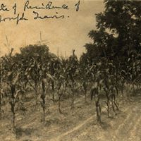 Gilda Brown Photo 31