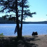 Robin Sylvester Photo 16