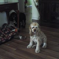 Ruth Daniels Photo 12