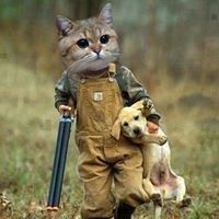 David Hobson Photo 18