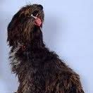 Victoria Gregg Photo 33