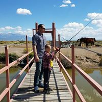 Neil Collins Photo 31