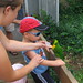 Joshua Bird Photo 24