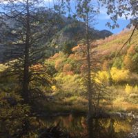 Sandy Boyer Photo 21