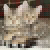 Kathleen Keefer Photo 3