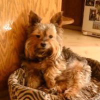 Mary Nowicki Photo 7