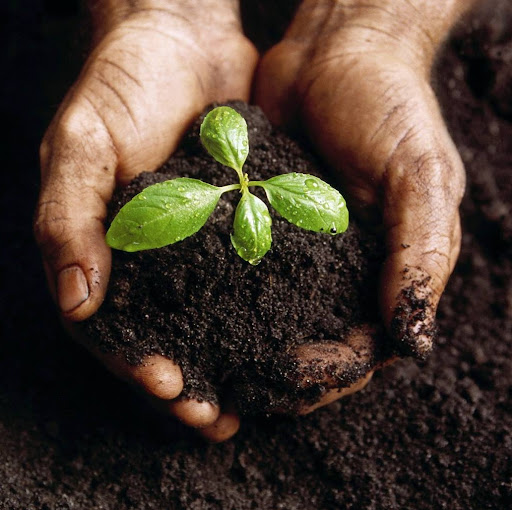 Gerald Kirby Photo 14