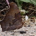 Mark Steger Photo 10