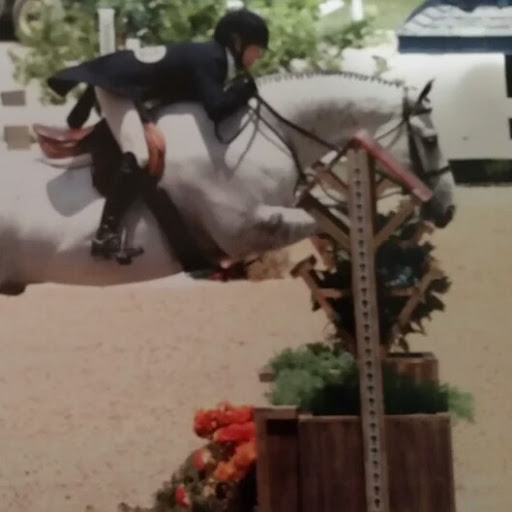 Cindi Robbins Photo 4